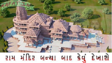 Ayodhya Ram Temple 3D Video